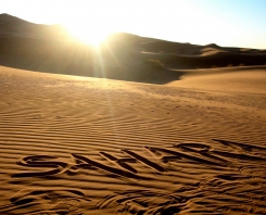 Sahara marocain – Retraite & méditation entre les dunes et les étoiles